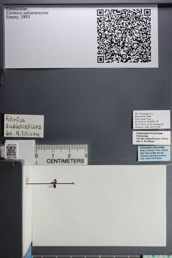 Media type: image;   Entomology 577383